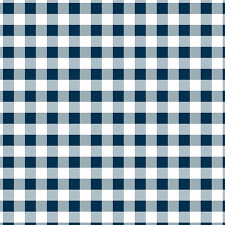 Magnolia Navy Check