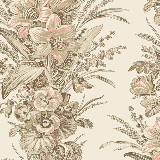 Cocoa Pink - Amaryllis - Parchment