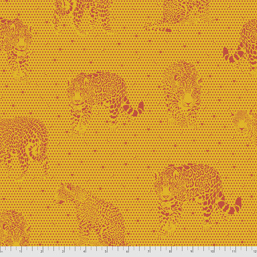 Daydreamer PWTP174 Papaya - Lil Jaguars
