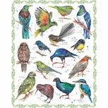 New Zealand Native Bird Panel