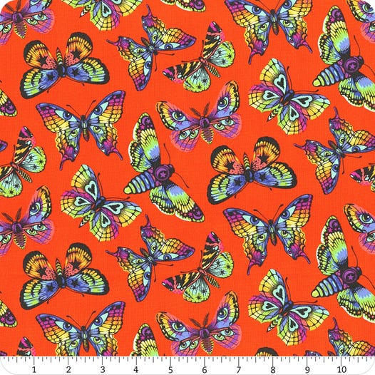 Daydreamer PWTP172 Papaya - Butterfly Kisses