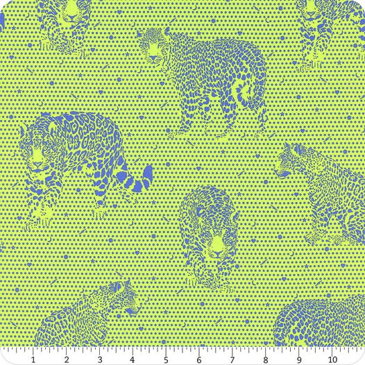Daydreamer PWTP174 Kiwi - Lil Jaguars