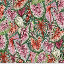 Kaffe Fassett Caladiums PWPJ108 Bright