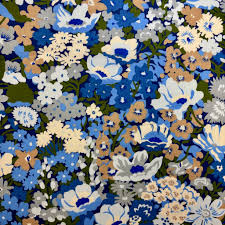 Liberty Tana Lawn - Lord Thorpe C