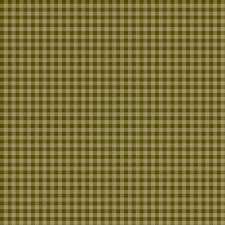 P & B Cider Mill Check by Michael Zindell Olive Green