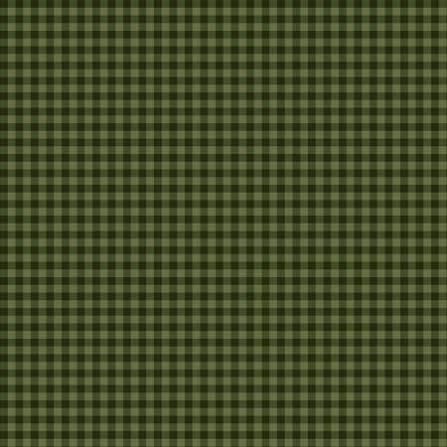 P & B Cider Mill Check by Michael Zindell Dark Green