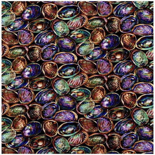 Paua 5595 Col 1