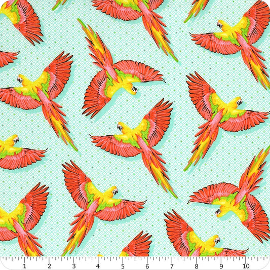 Daydreamer PWTP170 Mango - Macaw Ya Later